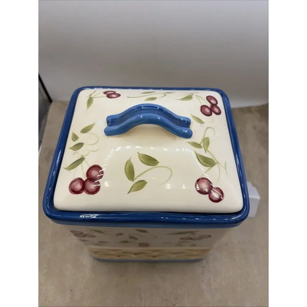 Large Inspirado Square Hand Painted BISCOTTI COOKIE JAR Cherry Basket Weave